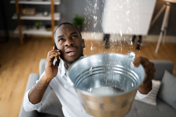 Best Ceiling water damage repair  in Mount Hermon, CA
