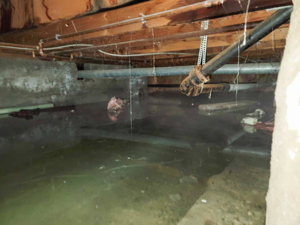 Sewage cleanup and water damage restoration in Mount Hermon, CA