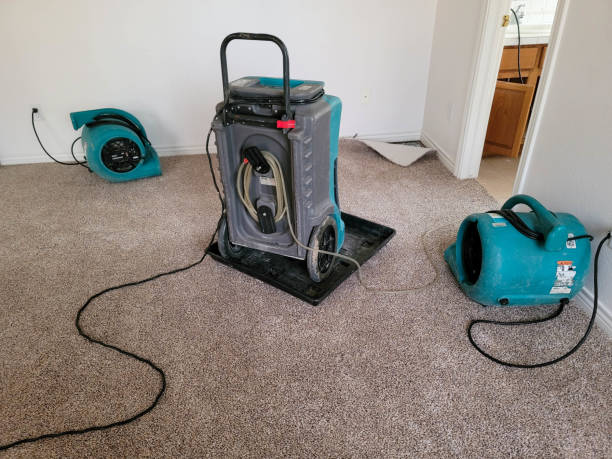 Best Emergency water damage restoration  in Mount Hermon, CA