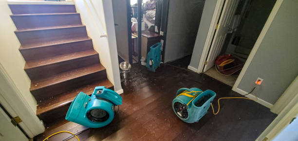 Carpet water damage restoration in Mount Hermon, CA
