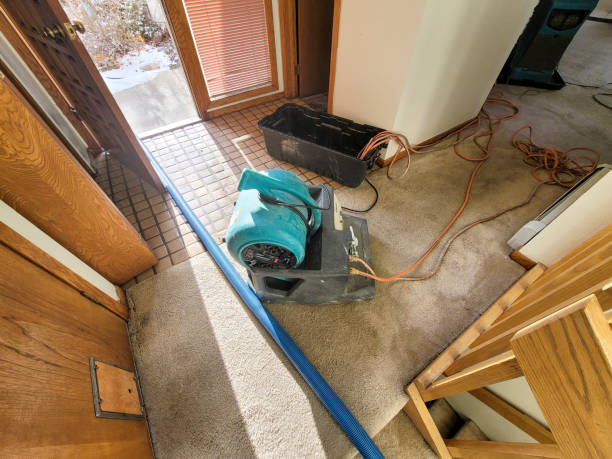 Water damage restoration mold remediation in Mount Hermon, CA