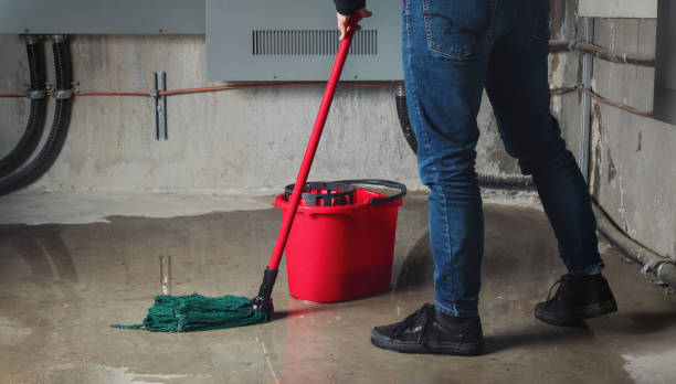 Trusted Mount Hermon, CA Water damage restoration Experts