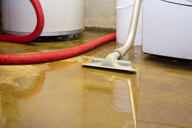 Local water damage restoration in Mount Hermon, CA