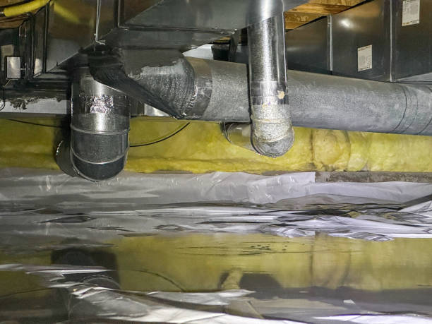 Best Water damage cleanup near me  in Mount Hermon, CA