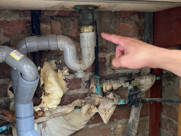 Best Water damage contractors near me  in Mount Hermon, CA