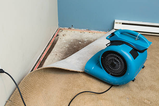 Best Water damage restoration near me  in Mount Hermon, CA